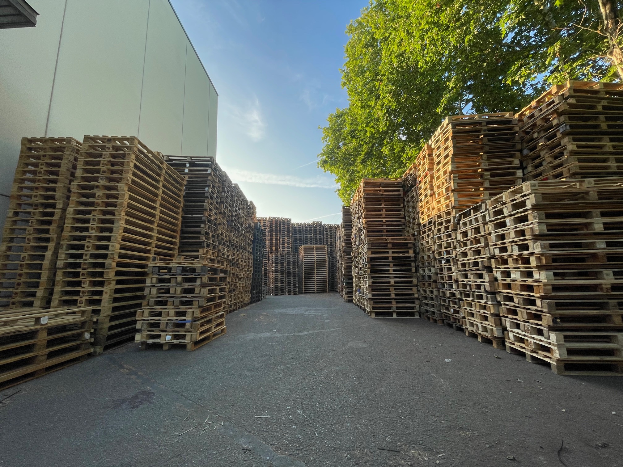 Stock para comprar palets reciclados en Barcelona – palets listos para carga