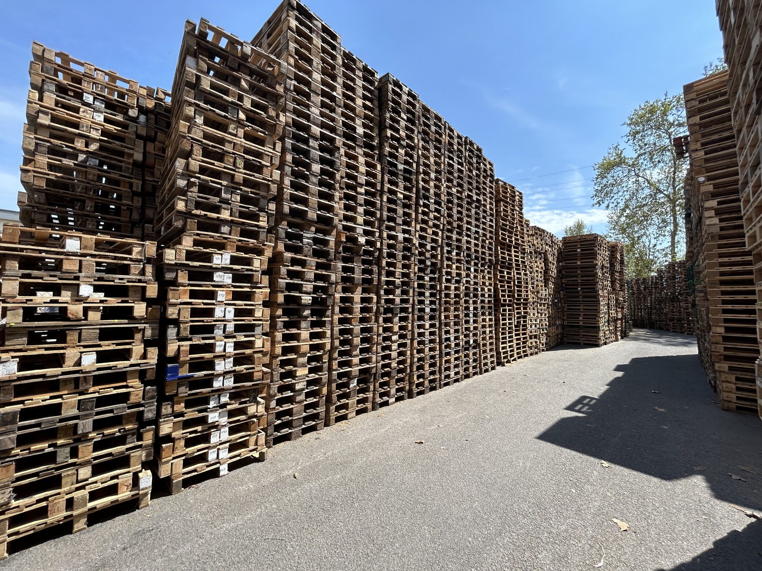 Palets de madera reciclados listos para la venta en Barcelona
