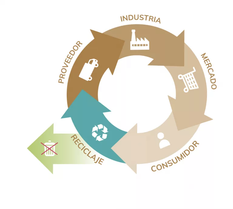 Economía circular en palets de madera